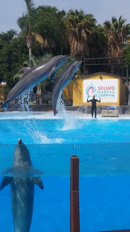 Minerva 242 Daire Benalmádena Dış mekan fotoğraf